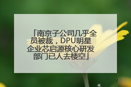 南京子公司几乎全员被裁，DPU明星企业芯启源核心研发部门已人去楼空