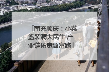 南充顺庆：小菜篮装满大民生 产业链拓宽致富路