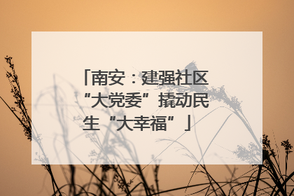 南安：建强社区“大党委”撬动民生“大幸福”