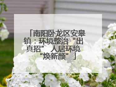 南阳卧龙区安皋镇：环境整治“出真招” 人居环境“焕新颜”