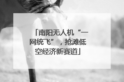 南阳无人机“一网统飞”，抢滩低空经济新赛道