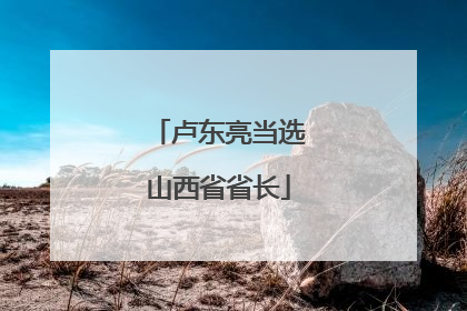 卢东亮当选山西省省长