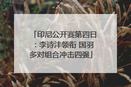 印尼公开赛第四日：李诗沣领衔 国羽多对组合冲击四强