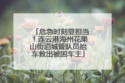 危急时刻显担当！连云港海州花果山街道城管队员抬车救出被困车主