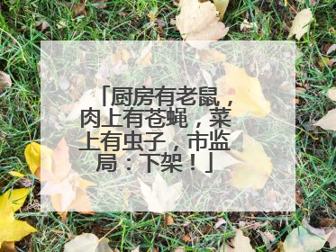 厨房有老鼠，肉上有苍蝇，菜上有虫子，市监局：下架！