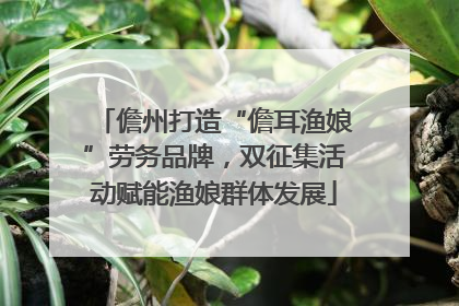 儋州打造“儋耳渔娘”劳务品牌，双征集活动赋能渔娘群体发展