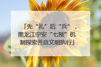 先“礼”后“兵”，黑龙江宁安“七预”机制探索善意文明执行