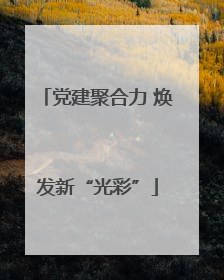党建聚合力 焕发新“光彩”