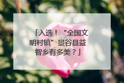 入选！“全国文明村镇”景谷县益智乡有多美？