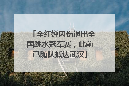 全红婵因伤退出全国跳水冠军赛，此前已随队抵达武汉