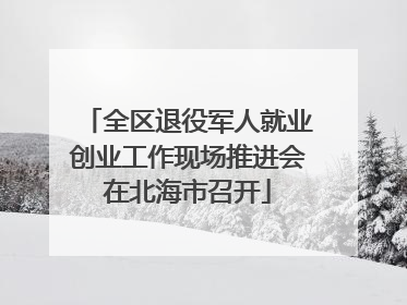 全区退役军人就业创业工作现场推进会在北海市召开