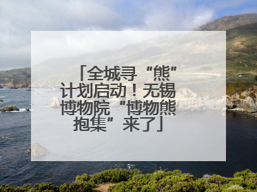 全城寻“熊”计划启动！无锡博物院“博物熊抱集”来了