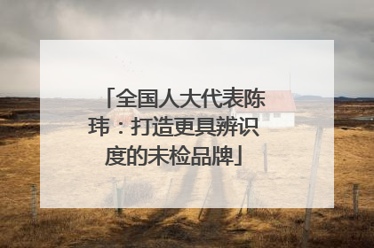 全国人大代表陈玮：打造更具辨识度的未检品牌