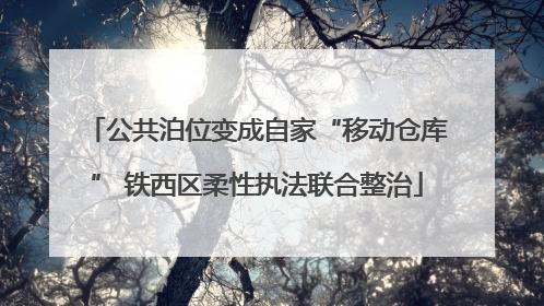 公共泊位变成自家“移动仓库” 铁西区柔性执法联合整治
