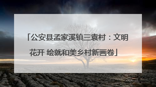 公安县孟家溪镇三袁村：文明花开 绘就和美乡村新画卷