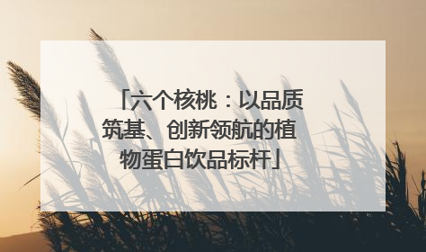 六个核桃：以品质筑基、创新领航的植物蛋白饮品标杆