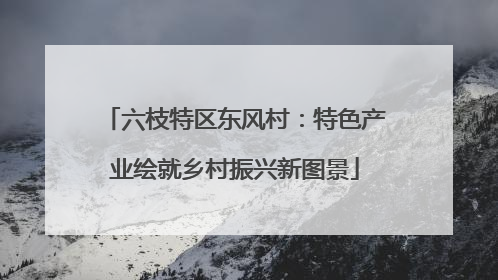 六枝特区东风村：特色产业绘就乡村振兴新图景