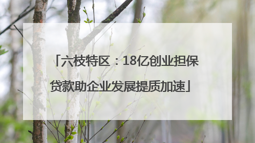 六枝特区：18亿创业担保贷款助企业发展提质加速