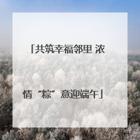 共筑幸福邻里 浓情“粽”意迎端午