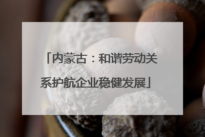 内蒙古：和谐劳动关系护航企业稳健发展