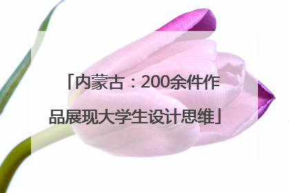 内蒙古：200余件作品展现大学生设计思维