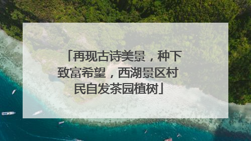 再现古诗美景，种下致富希望，西湖景区村民自发茶园植树