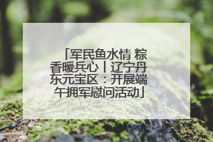 军民鱼水情 粽香暖兵心丨辽宁丹东元宝区：开展端午拥军慰问活动