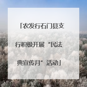 农发行石门县支行积极开展“民法典宣传月”活动