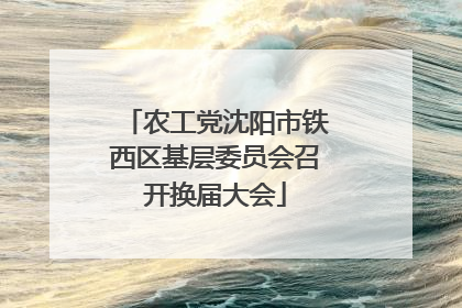 农工党沈阳市铁西区基层委员会召开换届大会