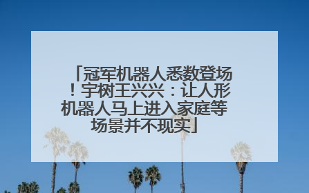 冠军机器人悉数登场！宇树王兴兴：让人形机器人马上进入家庭等场景并不现实