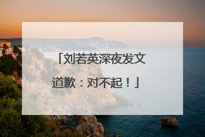刘若英深夜发文道歉：对不起！