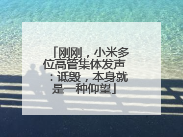 刚刚，小米多位高管集体发声：诋毁，本身就是一种仰望