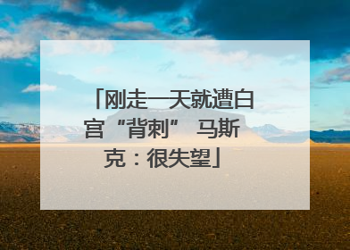 刚走一天就遭白宫“背刺” 马斯克：很失望