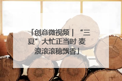 创意微视频｜“三夏”大忙正当时 麦浪滚滚穗飘香