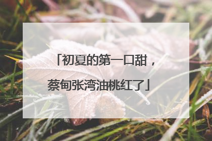 初夏的第一口甜，蔡甸张湾油桃红了