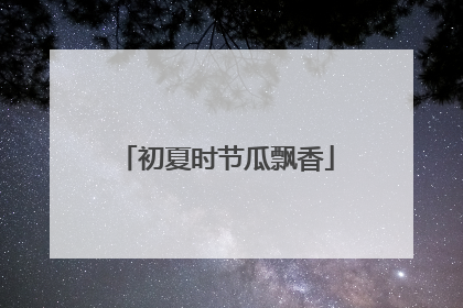 初夏时节瓜飘香