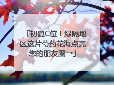 初夏C位！绿隔地区这片芍药花海点亮您的朋友圈→