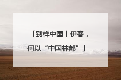 别样中国丨伊春，何以“中国林都”