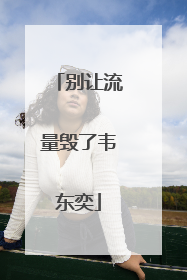 别让流量毁了韦东奕