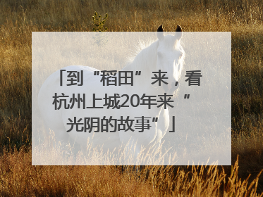 到“稻田”来，看杭州上城20年来“光阴的故事”