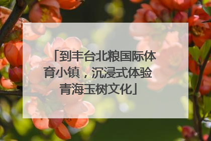 到丰台北粮国际体育小镇，沉浸式体验青海玉树文化