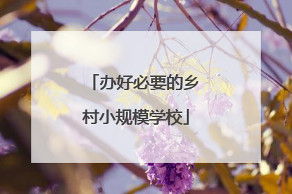 办好必要的乡村小规模学校
