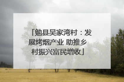 勉县吴家湾村：发展烤烟产业 助推乡村振兴富民增收