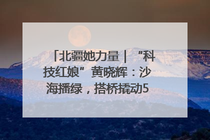 北疆她力量｜“科技红娘”黄晓辉：沙海播绿，搭桥撬动5.3亿研发