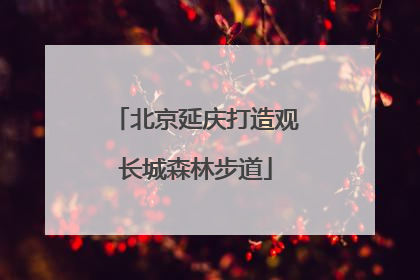 北京延庆打造观长城森林步道