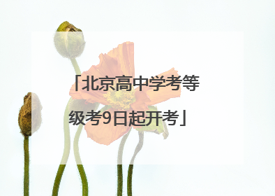 北京高中学考等级考9日起开考