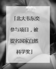 北大韦东奕参与项目，被提名国家自然科学奖