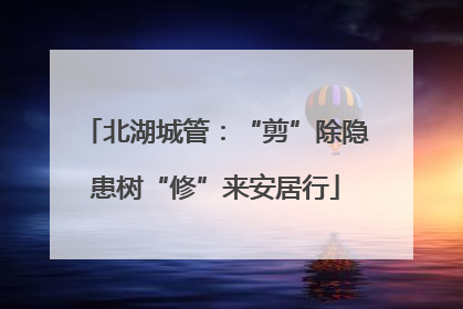 北湖城管：“剪”除隐患树“修”来安居行