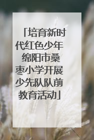 培育新时代红色少年 绵阳市桑枣小学开展少先队队前教育活动