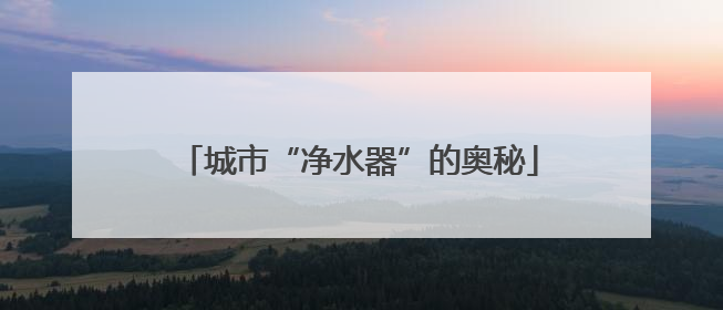 城市“净水器”的奥秘